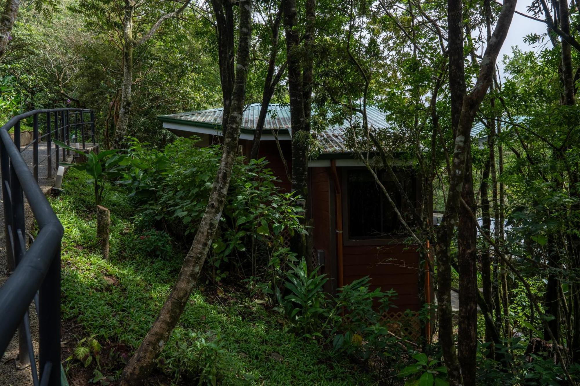 Koora Monteverde A Cloud Forest Hotel By Sandglass Zewnętrze zdjęcie