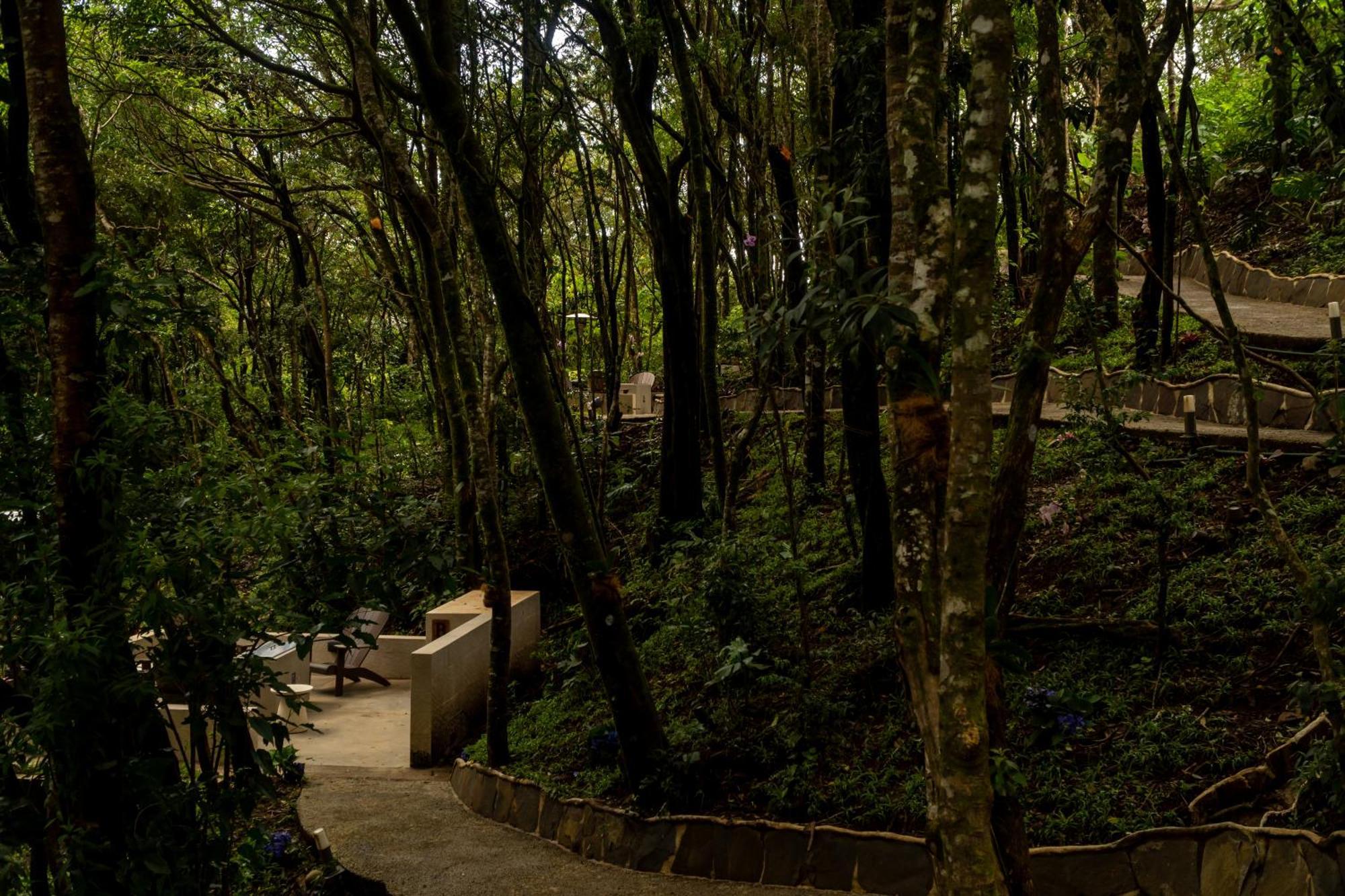 Koora Monteverde A Cloud Forest Hotel By Sandglass Zewnętrze zdjęcie